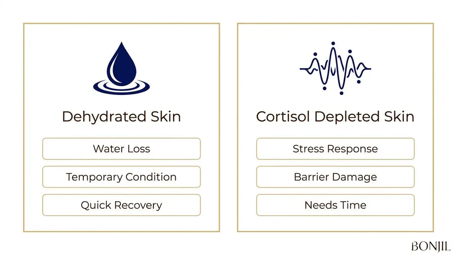 Dehydrated skin versus cortisol-depleted skin comparison showing water loss, barrier damage, and recovery differences