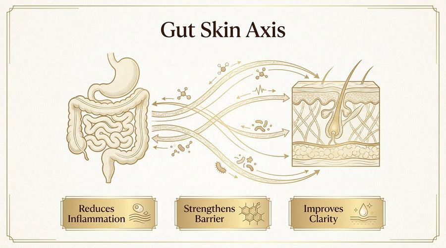 What Is the Gut-Skin Connection and How Do Probiotics Improve Skin Health?