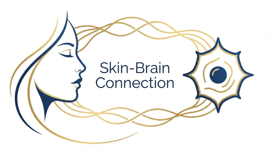 What Is Neurocosmetics Science and How Do Skin and Brain Connect?