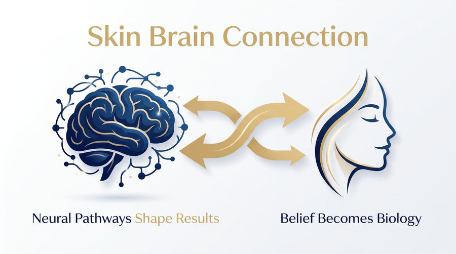 Skin brain connection infographic showing the relationship between the brain and skin through neural pathways and biological responses.