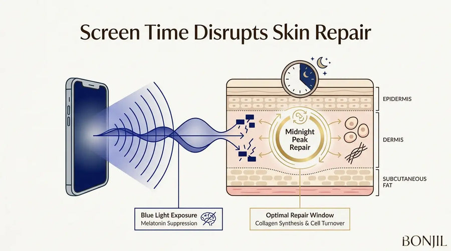 Diagram showing screen time and blue light exposure disrupting the skin’s nighttime repair cycle and melatonin production