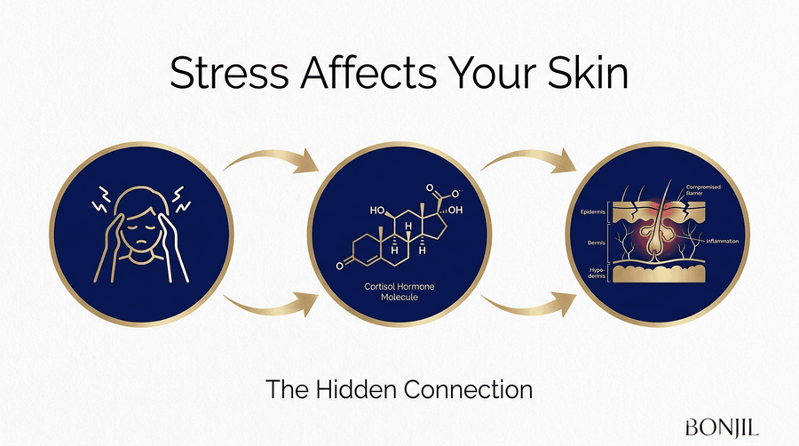 Stress affects your skin infographic showing the connection between stress, cortisol hormone release, and skin barrier inflammation.