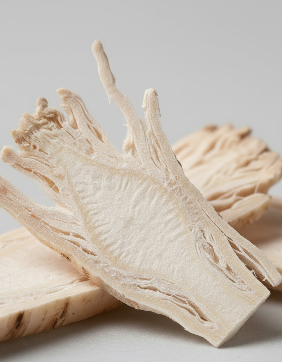 CHICORY ROOT