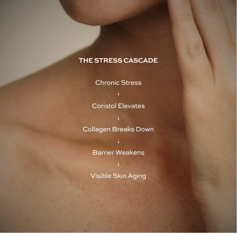 Stress Cascade Diagram