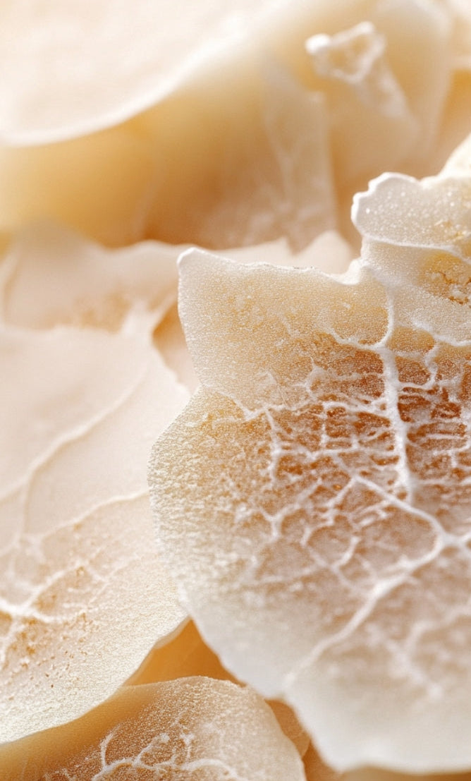 ITALIAN WHITE TRUFFLE