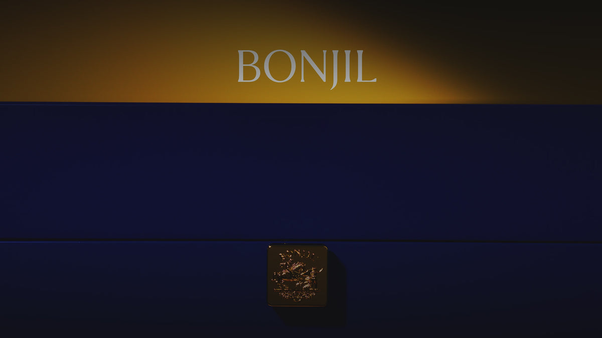 maybe a poster image about the video